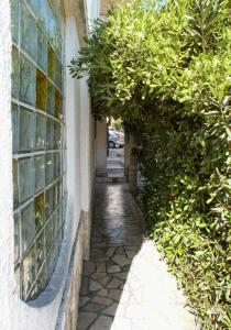 Apartment Mandre 4101a