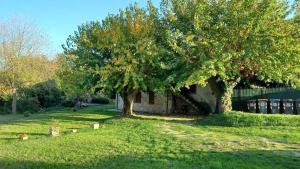 Agriturismo Canonici