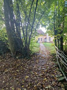 Maisons d'hotes Gite du Moulin de Barutel Mamers,Petite maison avec 1 chambre ideale couple,SPA et Soins sur reservation : photos des chambres