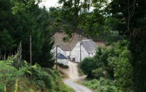 Maisons de vacances Propriete de 6 chambres avec jardin amenage et wifi a Chastreix a 8 km des pistes : photos des chambres