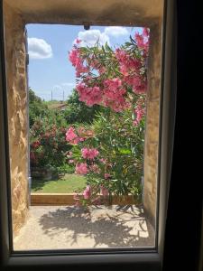 Mazet Magnan, Rustic Luxury in Provence