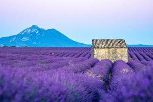 Maisons de vacances Mazet Magnan, Rustic Luxury in Provence : photos des chambres