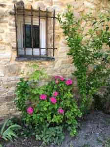 Maisons de vacances Mazet Magnan, Rustic Luxury in Provence : photos des chambres