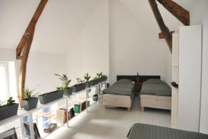 Appartements Maison Chaleureuse avec Jacuzzi : photos des chambres