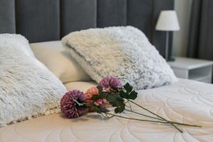 Malta Apartment Katowicka Pool & Parking by Noclegi Renters