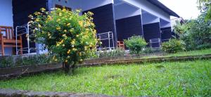 Phòng Giường Đôi Hạng Bình Dân (Budget Double Room)