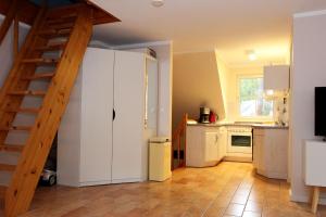 Strandparadies 2 - Das Hundeparadies