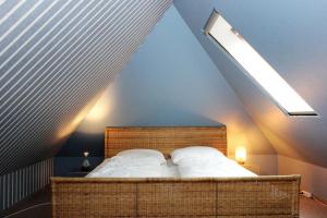 Strandparadies 2 - Das Hundeparadies