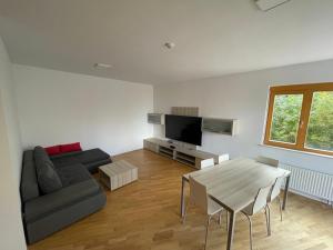 Luxury 3-room large Apartment Maribor Pohorje 