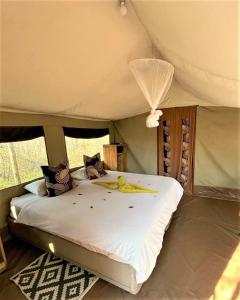 The Wild Olive Tree Camp