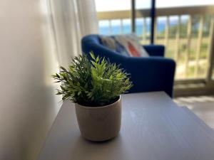 Très joli appartement cosy - magnifique vue mer