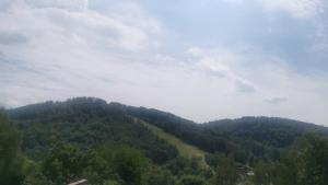 HEARTH HILL VIEW APARTMENT