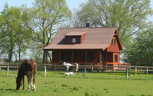 gemütliches Ferienhaus in der Natur