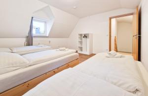 Tolstov Apartments - 2 , 3 and 4 Room Apartments - 25 Min Messe DUS
