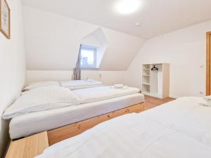 Tolstov Apartments - 2 , 3 and 4 Room Apartments - 25 Min Messe DUS