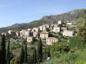 Maisons de vacances Vos vacances a Lama France Corse : photos des chambres