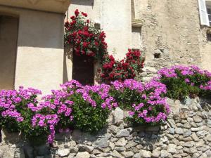 Maisons de vacances Vos vacances a Lama France Corse : photos des chambres