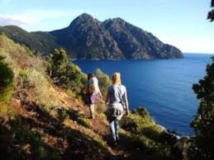 Maisons de vacances Vos vacances a Lama France Corse : photos des chambres