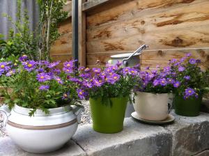 Traubengarten Winkler