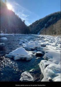 Initial- Soeur No15 - MSA