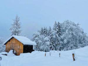 Maisons de vacances Le Chalet de Bemont : photos des chambres