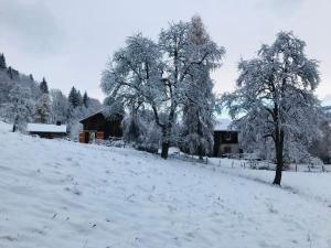 Maisons de vacances Le Chalet de Bemont : photos des chambres