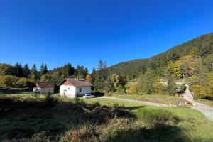 Maisons de vacances House type chalet - sauna and balneo - 14 pers : photos des chambres