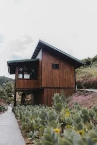 Lauraceas Lodge - Savegre Abajo