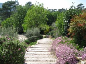 B&B / Chambres d'hotes Bastide Saint Bernard : photos des chambres