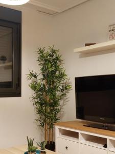 145A Apartamento moderno dos habitaciones