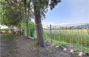 Gorgeous Home In Monselice With Wifi