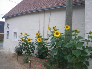 Gîte confort aux portes des châteaux, jardin, terrasse, WIFI, vélos, proche A85 et balades nature - FR-1-381-502
