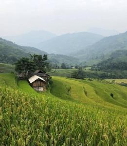 Nậm Lỳ Retreat- Breakfast included