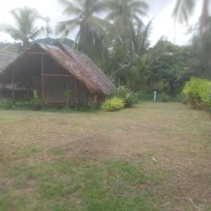 koh mook oyoy reggaebar bungalow