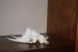 Saint Julians Seafront 200m2 beautiful Apartment