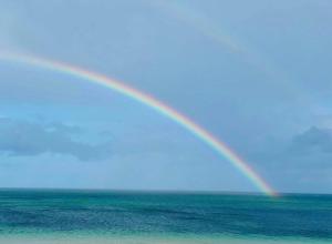 Hjortholms Bistro nr 1