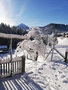 Achentaler Bauernhäusl