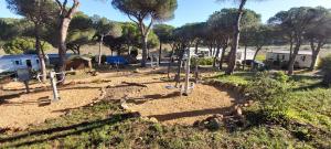 Campings Camping Figurotta : photos des chambres