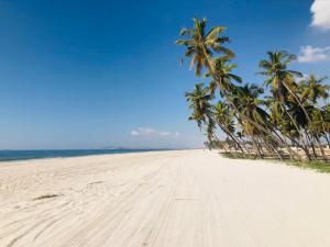 1-Bedroom on Forest Island & Oceanside View