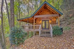 Charming Blue Ridge Cabin with Deck and Grill! - Maxwell