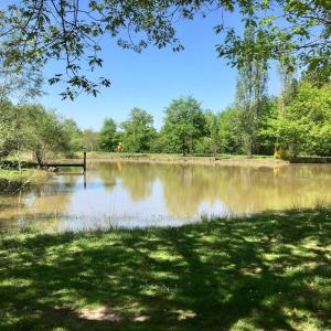 Maisons de vacances Maison au coeur des etangs de Sologne avec SPA , Domaine de Sainte-Marie : photos des chambres