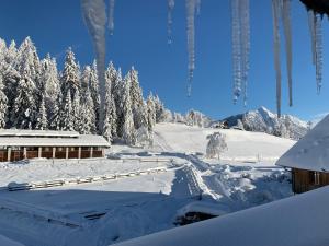 Mösslachers Ferienwohnungen