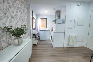 Cuencaloft Plaza Salvador