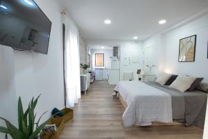 Cuencaloft Plaza Salvador