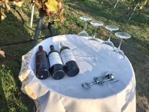 Etnasentieri Wine house on Etna mount