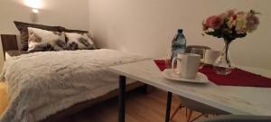 Apartament Sosnowiec - Kazimierz Górniczy