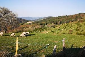 MARCOL ANGE DEMEURE EN ARDECHE