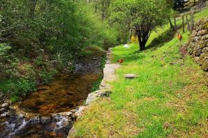 Villas MARCOL' ANGE DEMEURE EN ARDECHE : photos des chambres