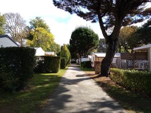 Campings Bungalow au coeur des Menhirs : photos des chambres