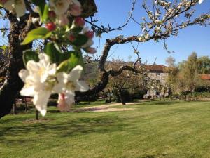 B&B / Chambres d'hotes Les Jardins d'Anna - Chambres d'hotes : photos des chambres